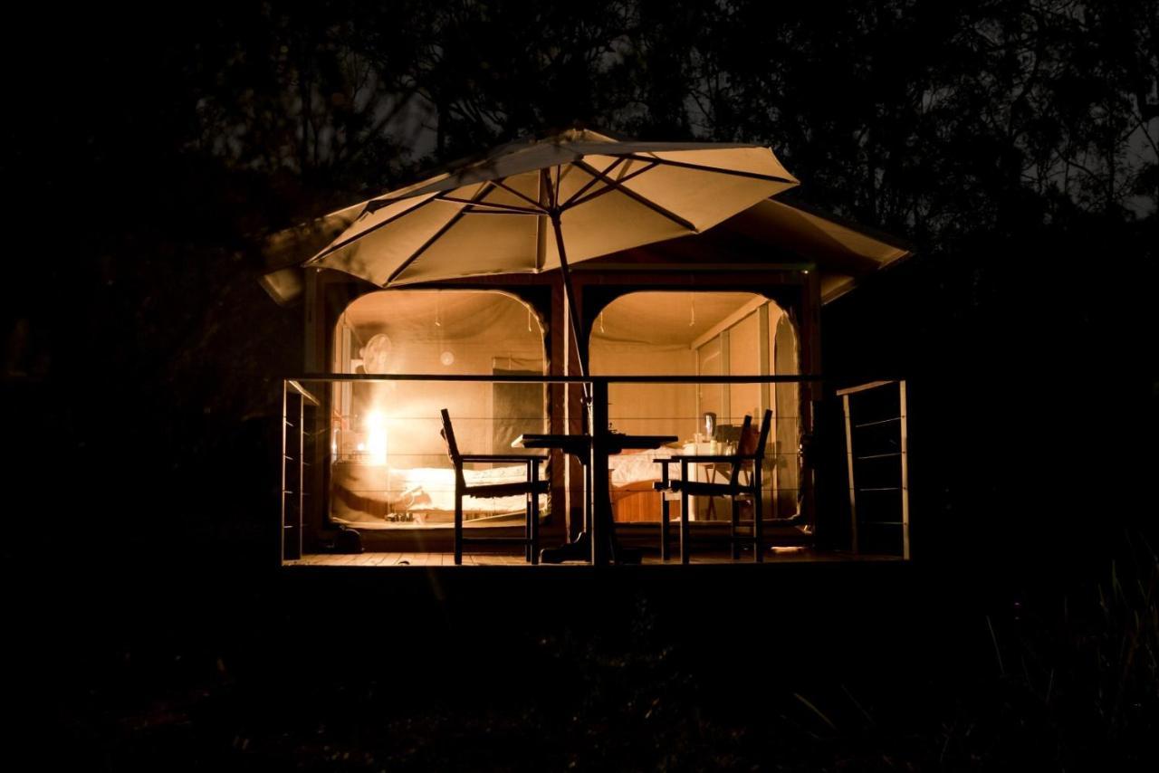 Wild Nature Lodge, Mareeba Wetlands Biboohra Esterno foto