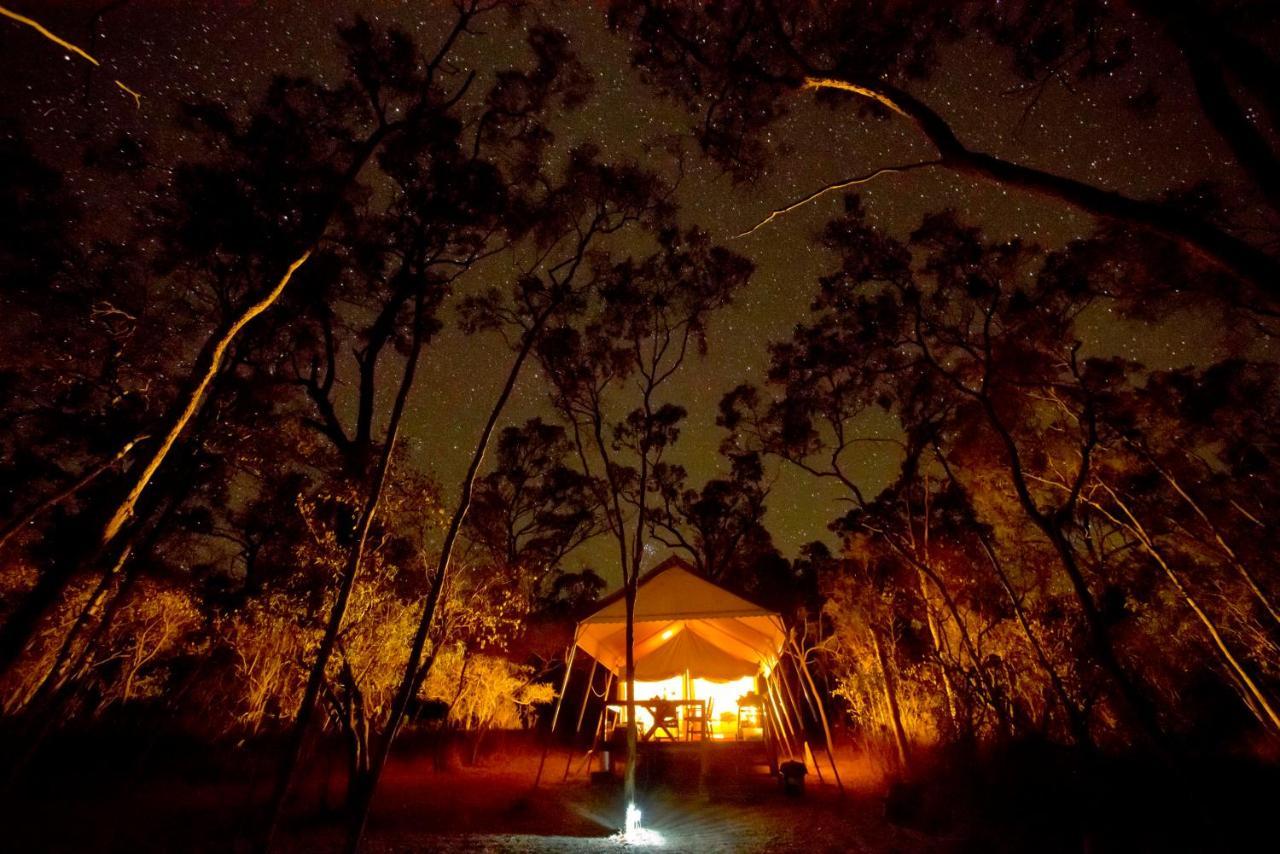Wild Nature Lodge, Mareeba Wetlands Biboohra Esterno foto