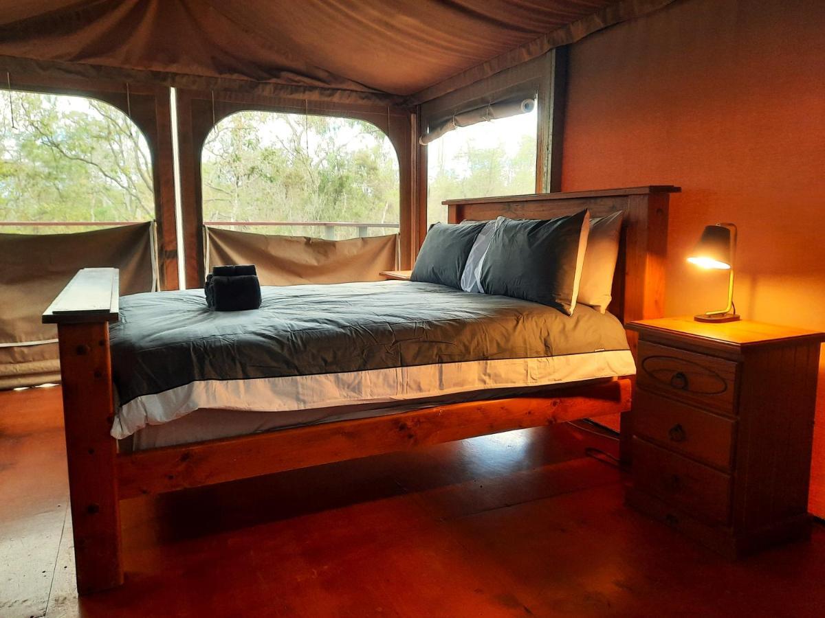 Wild Nature Lodge, Mareeba Wetlands Biboohra Esterno foto