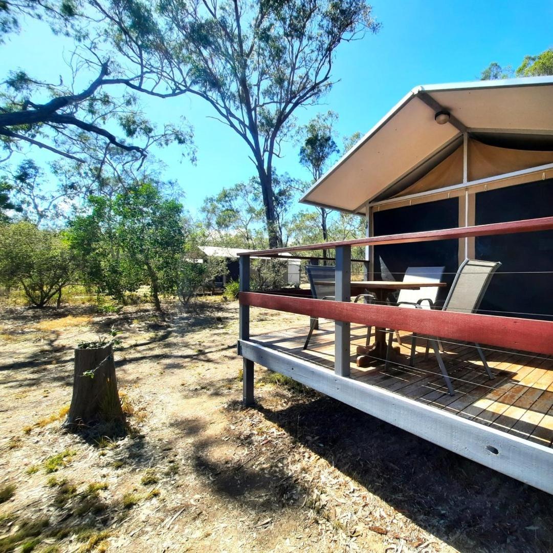 Wild Nature Lodge, Mareeba Wetlands Biboohra Esterno foto
