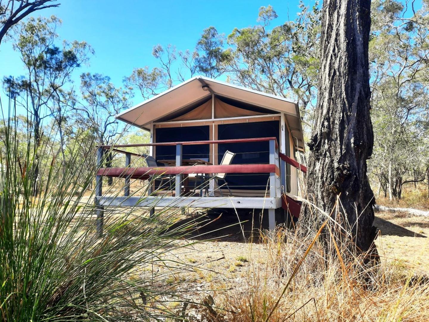 Wild Nature Lodge, Mareeba Wetlands Biboohra Esterno foto