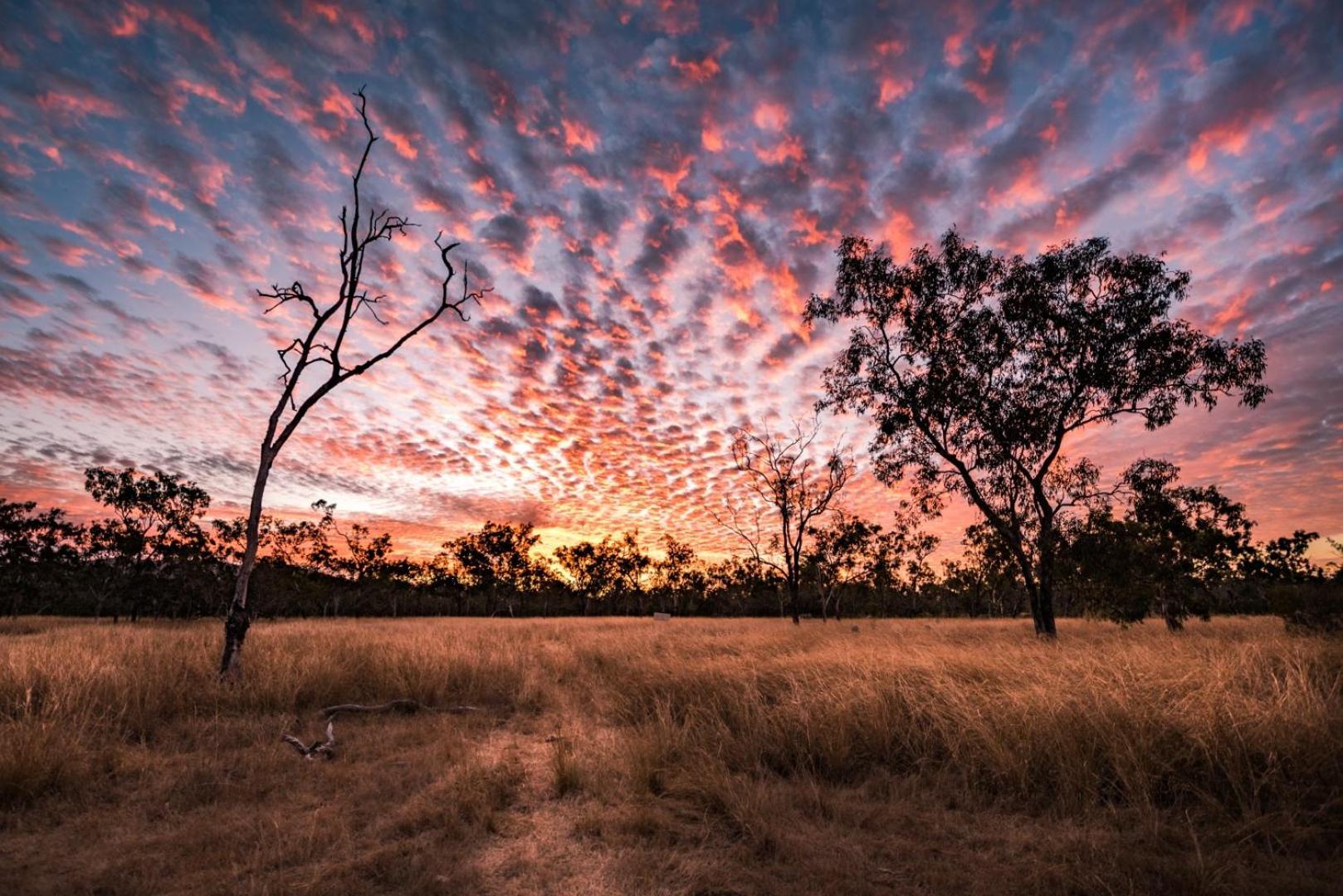 Wild Nature Lodge, Mareeba Wetlands Biboohra Esterno foto