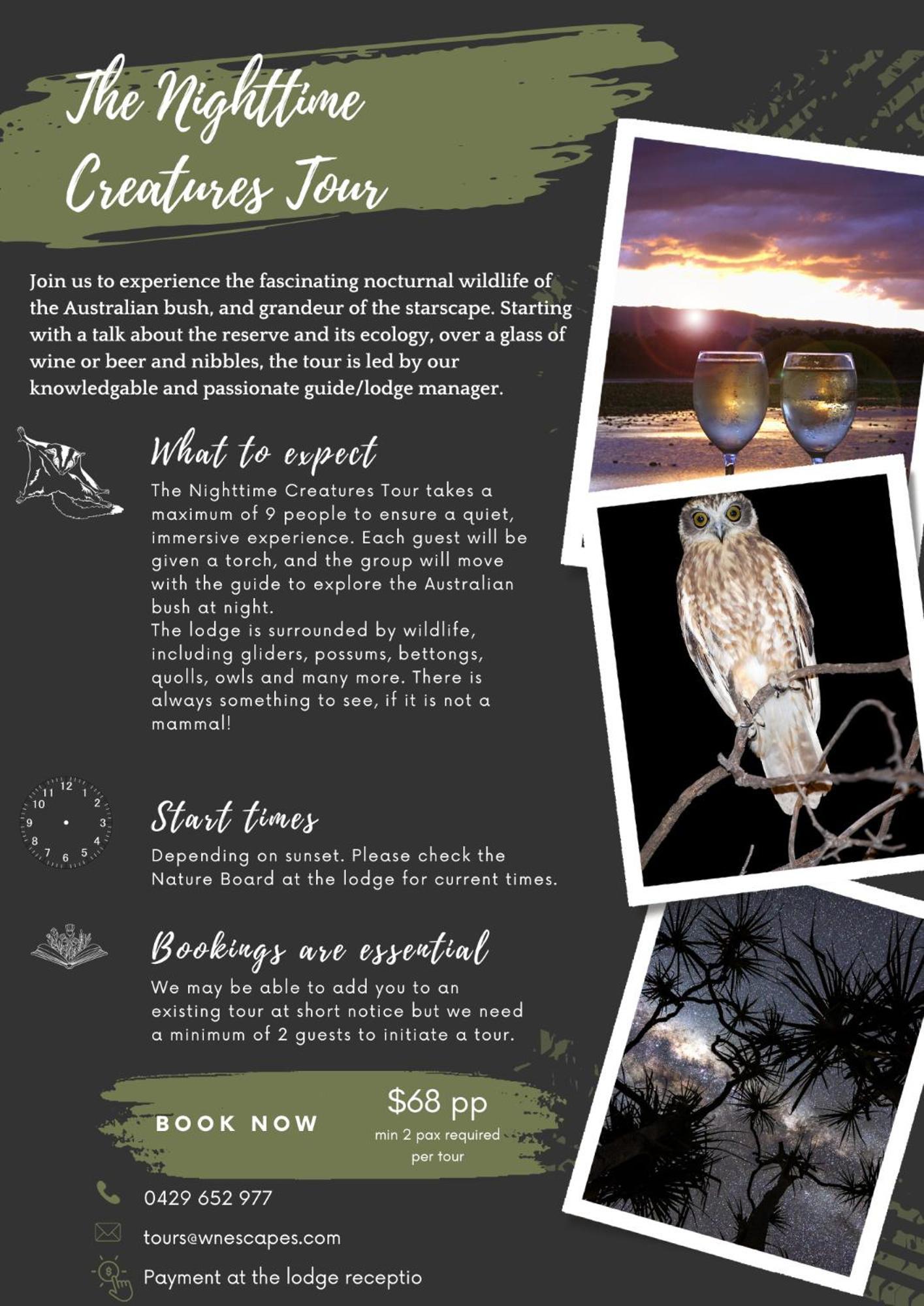 Wild Nature Lodge, Mareeba Wetlands Biboohra Esterno foto